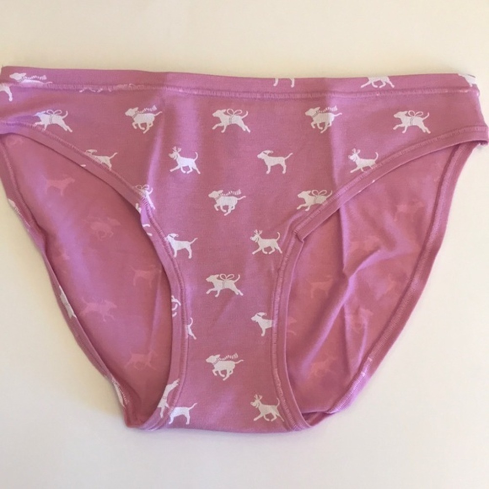 NWT PINK Victoria’s Secrets Pink Bikini Sz S